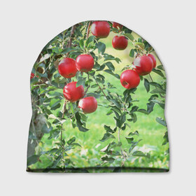 Шапка 3D с принтом Яблоки в Белгороде, 100% полиэстер | универсальный размер, печать по всей поверхности изделия | дерево | зелень | красные | сад | яблоки