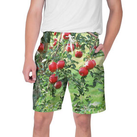 Мужские шорты 3D с принтом Яблоки в Белгороде,  полиэстер 100% | прямой крой, два кармана без застежек по бокам. Мягкая трикотажная резинка на поясе, внутри которой широкие завязки. Длина чуть выше колен | дерево | зелень | красные | сад | яблоки
