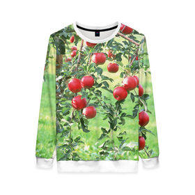 Женский свитшот 3D с принтом Яблоки в Белгороде, 100% полиэстер с мягким внутренним слоем | круглый вырез горловины, мягкая резинка на манжетах и поясе, свободная посадка по фигуре | дерево | зелень | красные | сад | яблоки