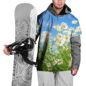 Накидка на куртку 3D с принтом Ромашки в Белгороде, 100% полиэстер |  | Тематика изображения на принте: луг | цветы