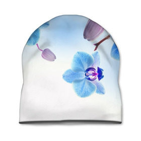Шапка 3D с принтом Голубая орхидея в Белгороде, 100% полиэстер | универсальный размер, печать по всей поверхности изделия | Тематика изображения на принте: голубая орхидея | красота | орхидеи | природа | цветок | цветочек | цветы