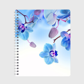 Тетрадь с принтом Голубая орхидея в Белгороде, 100% бумага | 48 листов, плотность листов — 60 г/м2, плотность картонной обложки — 250 г/м2. Листы скреплены сбоку удобной пружинной спиралью. Уголки страниц и обложки скругленные. Цвет линий — светло-серый
 | голубая орхидея | красота | орхидеи | природа | цветок | цветочек | цветы