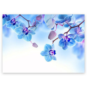 Поздравительная открытка с принтом Голубая орхидея в Белгороде, 100% бумага | плотность бумаги 280 г/м2, матовая, на обратной стороне линовка и место для марки
 | голубая орхидея | красота | орхидеи | природа | цветок | цветочек | цветы