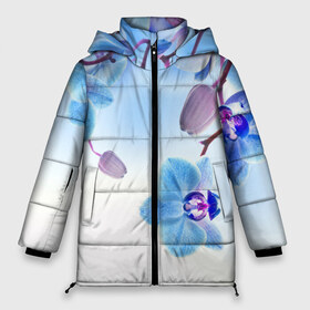 Женская зимняя куртка 3D с принтом Голубая орхидея в Белгороде, верх — 100% полиэстер; подкладка — 100% полиэстер; утеплитель — 100% полиэстер | длина ниже бедра, силуэт Оверсайз. Есть воротник-стойка, отстегивающийся капюшон и ветрозащитная планка. 

Боковые карманы с листочкой на кнопках и внутренний карман на молнии | голубая орхидея | красота | орхидеи | природа | цветок | цветочек | цветы