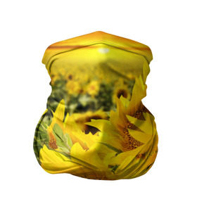 Бандана-труба 3D с принтом Подсолнухи в Белгороде, 100% полиэстер, ткань с особыми свойствами — Activecool | плотность 150‒180 г/м2; хорошо тянется, но сохраняет форму | желтый | солнце | цветок | яркий