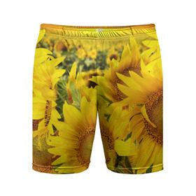 Мужские шорты 3D спортивные с принтом Подсолнухи в Белгороде,  |  | желтый | солнце | цветок | яркий