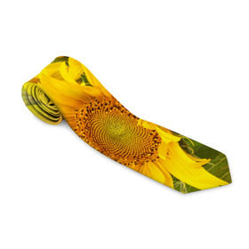 Галстук 3D с принтом Подсолнухи в Белгороде, 100% полиэстер | Длина 148 см; Плотность 150-180 г/м2 | желтый | солнце | цветок | яркий