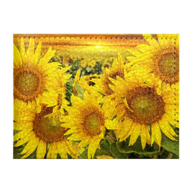 Обложка для студенческого билета с принтом Подсолнухи в Белгороде, натуральная кожа | Размер: 11*8 см; Печать на всей внешней стороне | желтый | солнце | цветок | яркий
