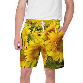 Мужские шорты 3D с принтом Подсолнухи в Белгороде,  полиэстер 100% | прямой крой, два кармана без застежек по бокам. Мягкая трикотажная резинка на поясе, внутри которой широкие завязки. Длина чуть выше колен | желтый | солнце | цветок | яркий