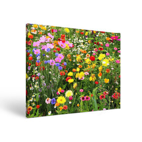 Холст прямоугольный с принтом Полевые цветы 1 в Белгороде, 100% ПВХ |  | поле | полевые цветы | цветы