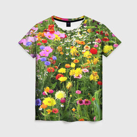 Женская футболка 3D с принтом Полевые цветы 1 в Белгороде, 100% полиэфир ( синтетическое хлопкоподобное полотно) | прямой крой, круглый вырез горловины, длина до линии бедер | поле | полевые цветы | цветы