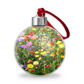 Ёлочный шар с принтом Полевые цветы 1 в Белгороде, Пластик | Диаметр: 77 мм | поле | полевые цветы | цветы