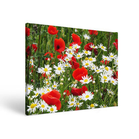 Холст прямоугольный с принтом Полевые цветы 2 в Белгороде, 100% ПВХ |  | поле | полевые цветы | цветы