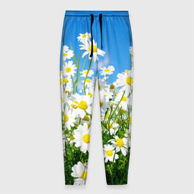 Мужские брюки 3D с принтом Полевые цветы 7 в Белгороде, 100% полиэстер | манжеты по низу, эластичный пояс регулируется шнурком, по бокам два кармана без застежек, внутренняя часть кармана из мелкой сетки | поле | полевые цветы | цветы
