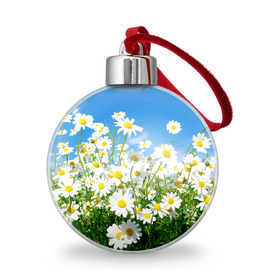 Ёлочный шар с принтом Полевые цветы 7 в Белгороде, Пластик | Диаметр: 77 мм | поле | полевые цветы | цветы
