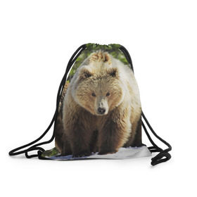 Рюкзак-мешок 3D с принтом Медведи в Белгороде, 100% полиэстер | плотность ткани — 200 г/м2, размер — 35 х 45 см; лямки — толстые шнурки, застежка на шнуровке, без карманов и подкладки | звери | медведь | мишка | природа