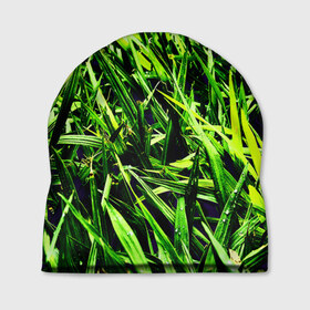 Шапка 3D с принтом Трава в Белгороде, 100% полиэстер | универсальный размер, печать по всей поверхности изделия | Тематика изображения на принте: green | зеленый
