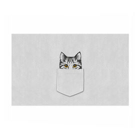 Бумага для упаковки 3D с принтом Кот в кармане 2 в Белгороде, пластик и полированная сталь | круглая форма, металлическое крепление в виде кольца | animals | cat | kitty | животные | кот | котик