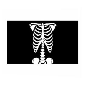 Бумага для упаковки 3D с принтом Скелет в Белгороде, пластик и полированная сталь | круглая форма, металлическое крепление в виде кольца | bones | halloween | кости | костюм | прикол | прикольная картинка | скелет | тело | хеллоуин