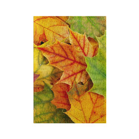 Обложка для паспорта матовая кожа с принтом Краски осени в Белгороде, натуральная матовая кожа | размер 19,3 х 13,7 см; прозрачные пластиковые крепления | листва | листья | осень