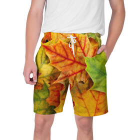 Мужские шорты 3D с принтом Краски осени в Белгороде,  полиэстер 100% | прямой крой, два кармана без застежек по бокам. Мягкая трикотажная резинка на поясе, внутри которой широкие завязки. Длина чуть выше колен | листва | листья | осень