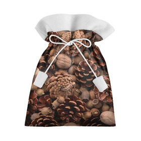 Подарочный 3D мешок с принтом Шишки и орешки в Белгороде, 100% полиэстер | Размер: 29*39 см | Тематика изображения на принте: дуб | ёлка | ель | жёлудь | иголки | кедр | лес | орех | орешки | осень | сосна | шишки