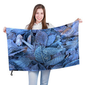 Флаг 3D с принтом Застывшие листья в Белгороде, 100% полиэстер | плотность ткани — 95 г/м2, размер — 67 х 109 см. Принт наносится с одной стороны | иней | мороз | осень | холод
