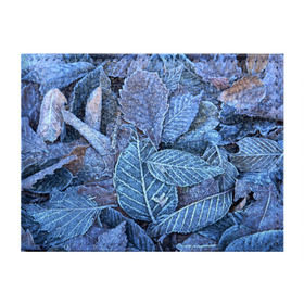 Обложка для студенческого билета с принтом Застывшие листья в Белгороде, натуральная кожа | Размер: 11*8 см; Печать на всей внешней стороне | иней | мороз | осень | холод