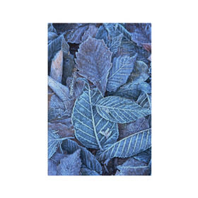 Обложка для паспорта матовая кожа с принтом Застывшие листья в Белгороде, натуральная матовая кожа | размер 19,3 х 13,7 см; прозрачные пластиковые крепления | иней | мороз | осень | холод
