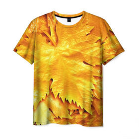 Мужская футболка 3D с принтом Золотая осень в Белгороде, 100% полиэфир | прямой крой, круглый вырез горловины, длина до линии бедер | Тематика изображения на принте: жёлтый | золотой | клён | красота | листва | листья | наряд | осень | осина | покров | природа