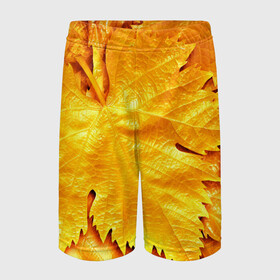 Детские спортивные шорты 3D с принтом Золотая осень в Белгороде,  100% полиэстер
 | пояс оформлен широкой мягкой резинкой, ткань тянется
 | Тематика изображения на принте: жёлтый | золотой | клён | красота | листва | листья | наряд | осень | осина | покров | природа