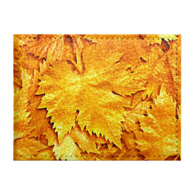 Обложка для студенческого билета с принтом Золотая осень в Белгороде, натуральная кожа | Размер: 11*8 см; Печать на всей внешней стороне | жёлтый | золотой | клён | красота | листва | листья | наряд | осень | осина | покров | природа