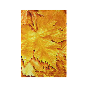 Обложка для паспорта матовая кожа с принтом Золотая осень в Белгороде, натуральная матовая кожа | размер 19,3 х 13,7 см; прозрачные пластиковые крепления | жёлтый | золотой | клён | красота | листва | листья | наряд | осень | осина | покров | природа