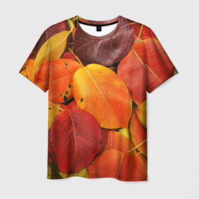 Мужская футболка 3D с принтом Осенний покров в Белгороде, 100% полиэфир | прямой крой, круглый вырез горловины, длина до линии бедер | жёлтый | золотой | красный | листва | листья | осень