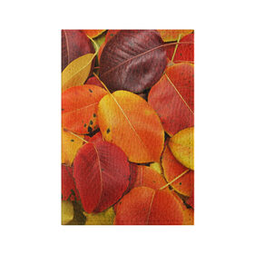 Обложка для паспорта матовая кожа с принтом Осенний покров в Белгороде, натуральная матовая кожа | размер 19,3 х 13,7 см; прозрачные пластиковые крепления | жёлтый | золотой | красный | листва | листья | осень