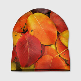 Шапка 3D с принтом Осенний покров в Белгороде, 100% полиэстер | универсальный размер, печать по всей поверхности изделия | Тематика изображения на принте: жёлтый | золотой | красный | листва | листья | осень