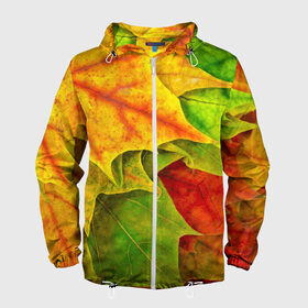 Мужская ветровка 3D с принтом Осенний наряд в Белгороде, 100% полиэстер | подол и капюшон оформлены резинкой с фиксаторами, два кармана без застежек по бокам, один потайной карман на груди | жёлтый | зелёный | красный | листва | листья | оранжевый