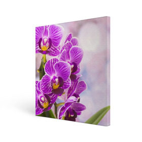 Холст квадратный с принтом Божественная орхидея в Белгороде, 100% ПВХ |  | 8 марта | букет | весна | красота | куст | лето | орхидея | подарок | сиреневый цвет | цветок | шикарный цветочек