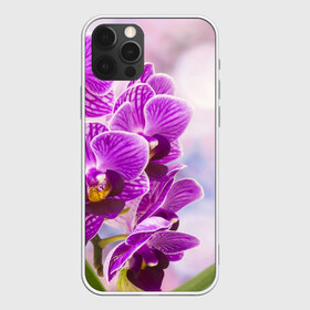 Чехол для iPhone 12 Pro Max с принтом Божественная орхидея в Белгороде, Силикон |  | Тематика изображения на принте: 8 марта | букет | весна | красота | куст | лето | орхидея | подарок | сиреневый цвет | цветок | шикарный цветочек