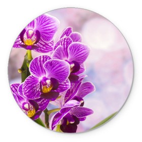 Коврик круглый с принтом Божественная орхидея в Белгороде, резина и полиэстер | круглая форма, изображение наносится на всю лицевую часть | 8 марта | букет | весна | красота | куст | лето | орхидея | подарок | сиреневый цвет | цветок | шикарный цветочек