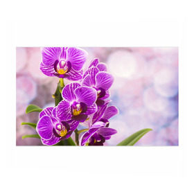 Бумага для упаковки 3D с принтом Божественная орхидея в Белгороде, пластик и полированная сталь | круглая форма, металлическое крепление в виде кольца | Тематика изображения на принте: 8 марта | букет | весна | красота | куст | лето | орхидея | подарок | сиреневый цвет | цветок | шикарный цветочек