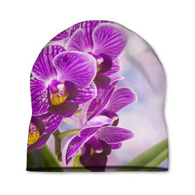 Шапка 3D с принтом Божественная орхидея в Белгороде, 100% полиэстер | универсальный размер, печать по всей поверхности изделия | Тематика изображения на принте: 8 марта | букет | весна | красота | куст | лето | орхидея | подарок | сиреневый цвет | цветок | шикарный цветочек