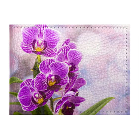 Обложка для студенческого билета с принтом Божественная орхидея в Белгороде, натуральная кожа | Размер: 11*8 см; Печать на всей внешней стороне | Тематика изображения на принте: 8 марта | букет | весна | красота | куст | лето | орхидея | подарок | сиреневый цвет | цветок | шикарный цветочек