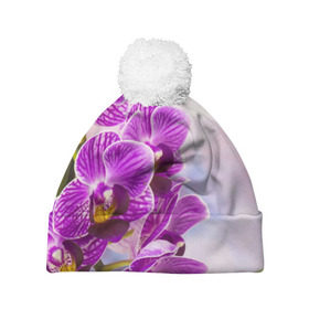 Шапка 3D c помпоном с принтом Божественная орхидея в Белгороде, 100% полиэстер | универсальный размер, печать по всей поверхности изделия | 8 марта | букет | весна | красота | куст | лето | орхидея | подарок | сиреневый цвет | цветок | шикарный цветочек
