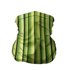 Бандана-труба 3D с принтом Бамбук в Белгороде, 100% полиэстер, ткань с особыми свойствами — Activecool | плотность 150‒180 г/м2; хорошо тянется, но сохраняет форму | бамбук | дерево | джунгли | кустарник | надёжность | прочность | стена