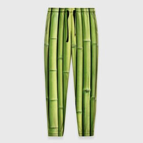 Мужские брюки 3D с принтом Бамбук в Белгороде, 100% полиэстер | манжеты по низу, эластичный пояс регулируется шнурком, по бокам два кармана без застежек, внутренняя часть кармана из мелкой сетки | бамбук | дерево | джунгли | кустарник | надёжность | прочность | стена