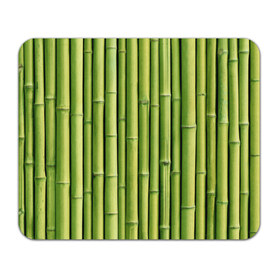 Коврик прямоугольный с принтом Бамбук в Белгороде, натуральный каучук | размер 230 х 185 мм; запечатка лицевой стороны | бамбук | дерево | джунгли | кустарник | надёжность | прочность | стена
