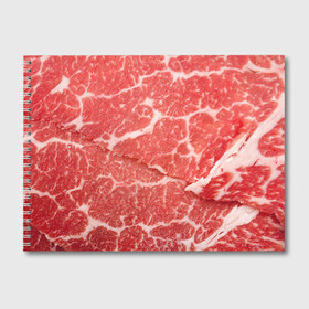 Альбом для рисования с принтом Кусок мяса в Белгороде, 100% бумага
 | матовая бумага, плотность 200 мг. | баранина | бекон | белок | говядина | еда | жилы | кровь | кусок | мощь | мышцы | мясо | нарезка | отбивная | пища | протеин | свинина | сила | телятина | туша | филе | хрящи
