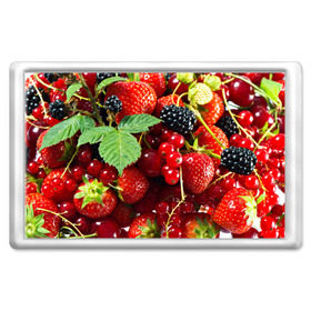 Магнит 45*70 с принтом Любимые ягоды в Белгороде, Пластик | Размер: 78*52 мм; Размер печати: 70*45 | вкусно | голубика | дача | деревня | ежевика | зелень | клубника | малина | огород | полезно | сад | смородина | сок | фрукты | черника | шиповник | ягоды