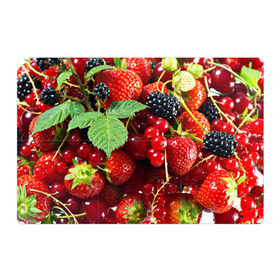 Магнитный плакат 3Х2 с принтом Любимые ягоды в Белгороде, Полимерный материал с магнитным слоем | 6 деталей размером 9*9 см | вкусно | голубика | дача | деревня | ежевика | зелень | клубника | малина | огород | полезно | сад | смородина | сок | фрукты | черника | шиповник | ягоды